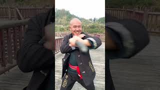 Respect Brother kung fu kungfu martialarts [upl. by Neret800]