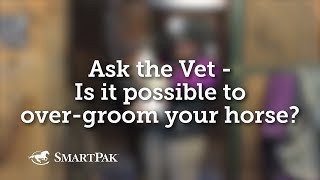 Ask the Vet  Is it possible to overgroom your horse [upl. by Yahs]