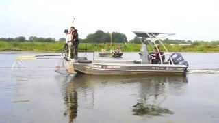 Grass Carp in Lake Erie A MultiState Discovery and Research Effort [upl. by Selima]