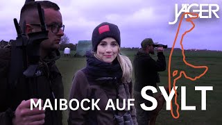 REHBOCKJAGD auf SYLT  JÄGER Film mit Madeline Lindhorst [upl. by Santoro]