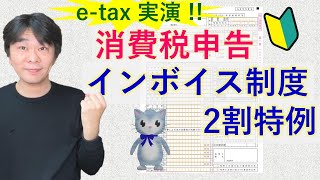 etax実演 はじめての消費税確定申告、インボイス制度の2割特例を適用する場合【静岡県三島市の税理士】 [upl. by Aleusnoc]