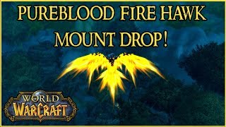 Pureblood Fire Hawk Mount Drop WoW Smoldering Egg Of Millagazor [upl. by Areit]