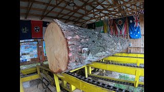 sawing a 32 inch pine log into 2x4s  467 [upl. by Aneleh899]