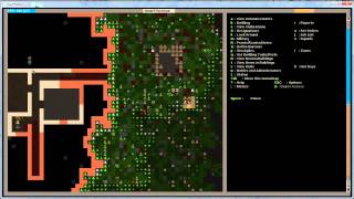 Dwarf Fortress  Tutorial 2011  Getting started within 45 Minutes [upl. by Ambur]