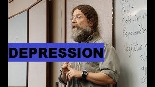 Robert Sapolsky  Depression  Psychology amp Neuroscience Lecture [upl. by Zetrac]