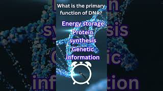 What is the primary function of DNA  biology shortsvideo shortquizvideo [upl. by Aleahcim]