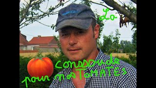 La consoude plante quot quotquotMAGIQUEquot pour vos tomates [upl. by Shererd]