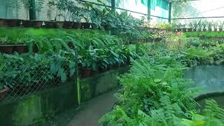 patna Zoo green view [upl. by Ogden]