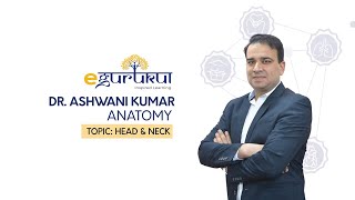 Head and Neck quick recap  Anatomy by Dr Ashwani Kumar  Dr Bhatia videos  DBMCI [upl. by Vizzone]