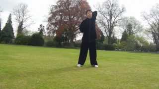 Yi Jin Jing Qi Gong  Tendor Changing Classic with Yafeng Ding of Tai Chi 4 Life School [upl. by Sillyrama194]