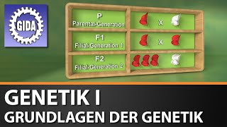 Trailer  Genetik I  Grundlagen der Genetik  Biologie  Schulfilm [upl. by Croft275]