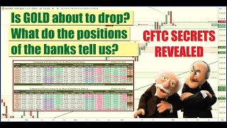 Weekly Commitment of Traders CFTC CoT Breakdown Analyzing Gold USD Strength amp Key Forex Data 📉🔍 [upl. by Jordon114]