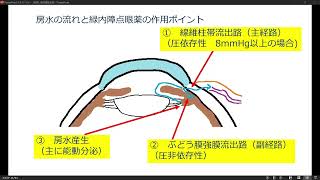 眼圧の計算式Goldmanの式や緑内障点眼薬の作用機序、解剖、房水の通り道など [upl. by Navlys]