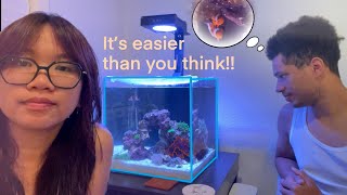 WE MADE A NANO NOFILTER REEF TANK FOR SOME CLOWNFISH Nano Reef Ep 1 hardscape and fish [upl. by Guyon]