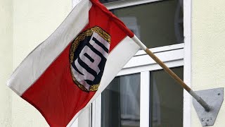 Germania il partito è razzista non prende finanziamenti pubblici [upl. by Louis686]