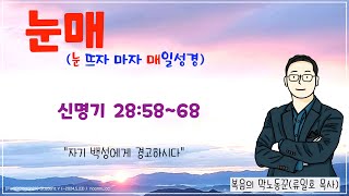 매일성경큐티 2024년 4월 16일화 신명기 285868 [upl. by Auqinet]