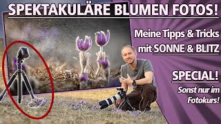 SPEKTAKULÄRE BLUMEN FOTOS Meine Tipps mit SONNE amp BLITZ sonst nur im Fotokurs [upl. by Skylar]