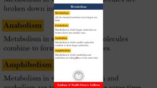 Metabolism anabolism catabolism amp Amphibolism  Biochemistry  by Imran Yaseen [upl. by Nylteak20]