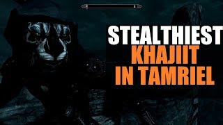 Difference in Khajiit Treatment  Short Comic Animation 180 [upl. by Goode]