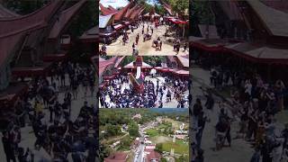 MA PALAO MA BADONG MANTARIMA TAMU drone sukutoraja torajaunik trending [upl. by Eceerahs]