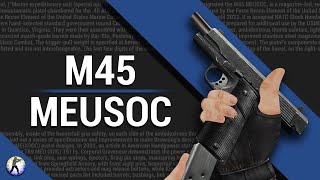 CSS  Deagle M45 MEUSOC [upl. by Savinirs]