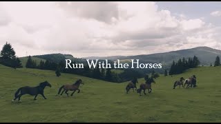 JW Original Kingdom Song Run With the Horses Jeremiah 125 [upl. by Haughay]