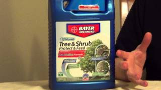 Tree Fertilizer and Insect Control [upl. by Lorrimer]