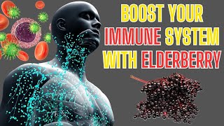 Unlock the Power of Black Elderberry Strengthen Your Immune System [upl. by Ydda401]