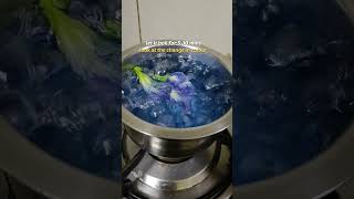 Butterfly Pea Flower Tea  Healthy Tea  Sangu Poo  Blue Tea  Herbal Tea  youtubeshorts [upl. by Eynenihc]