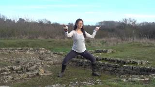 Qigong for the Water Element Nourishing Practices for Body Mind and Spirit [upl. by Elleryt]