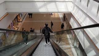 Poland Poznan Galeria Pestka Mall 2X escalator [upl. by Lauer]