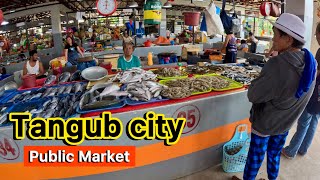 Tangub city  Misamis Occidental  Walking tour accessed through Panguil bay bridge [upl. by Elmira]