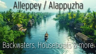 THEKKADY TO ALLEPPEY │ Experience the REAL VENICE OF THE EAST in ALLEPPEY BACKWATERS [upl. by Fidelia]