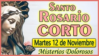 Santo Rosario CORTO de Hoy martes 12 de noviembre de 2024 🌺 MISTERIOS DOLOROSOS🌺Rosario SIN ANUNCIOS [upl. by Laniger]