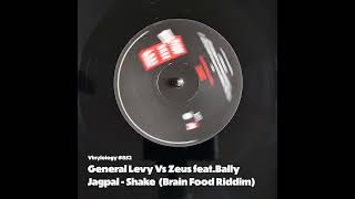 General Levy Vs Zeus feat Bally Jagpal  Shake What Ya Mama Gave Ya Brain Food Riddim [upl. by Ranip]