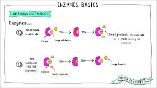 ENZYMES BASICS Edexcel 91 GCSE Biology Topic 1 Key Concepts in Biology [upl. by Eimak]