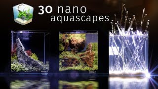 Thirty Of the Best Nano Aquascapes In America — Aquatic Experience 2017 [upl. by Enahc]