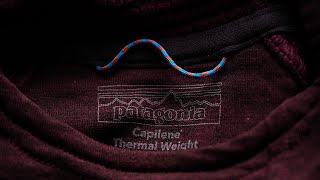 The New Patagonia Capilene Thermal Weight Hoody [upl. by Ariamoy]