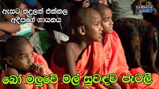 Bo Maluwe Mal  Adeepa with Sahara Flash  Best Sinhala Songs  SAMPATH LIVE VIDEOS [upl. by Laryssa162]