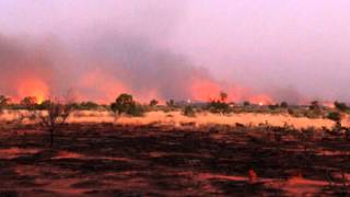 Controlled Aboriginal Fires Australias Experience [upl. by Aviva]