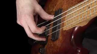 Learn Bass  How to Pluck the Strings [upl. by Ettenoitna]