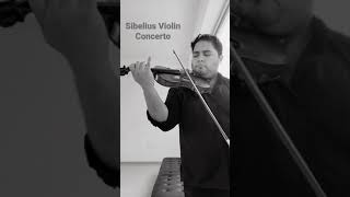 Sibelius Violin Concerto [upl. by Akenihs328]