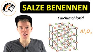 Salze benennen Nomenklatur  Chemie Tutorial [upl. by Hairaza958]