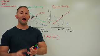 76 Positive Externalities and Pigouvian Subsidy AP Micro [upl. by Temp]