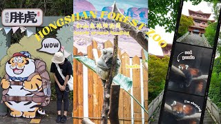 Travel vlog 02  Hongshan Forest Zoo  Nanjing China 🇨🇳 [upl. by Egduj121]