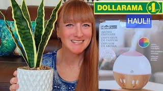 DOLLARAMA HAUL amp DOLLAR TREE GIFTS [upl. by Mw]