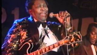 BB King Live in Hamburg 1991 [upl. by Aznofla]