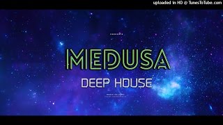 Schiller  Dream Of You Ellin Spring Remix  MEDUSA  Deep House Music 2016 Deep House Mix [upl. by Dhiman]