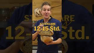 Brot für Anfänger marcelpaa einfachbacken shorts [upl. by Stephie]