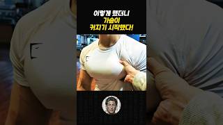 납짝 눌러붙은 가슴위로 대흉근이 올라옵니다 [upl. by Newell]